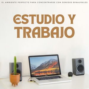 Concentración Y Sensación