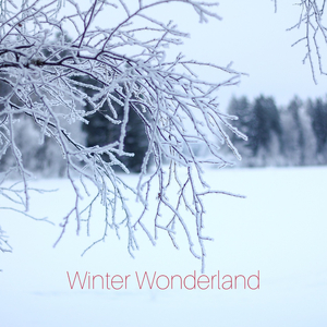 Winter Wonderland