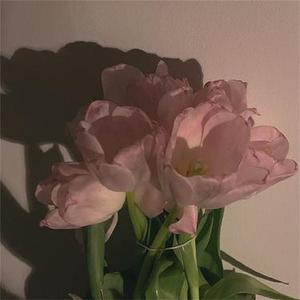 相爱就是永远在一起