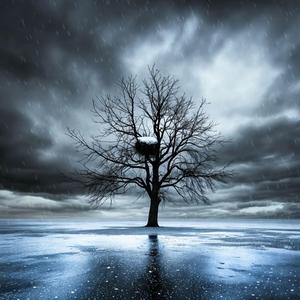 천년의 비가 (Elegy of a Thousand Years)