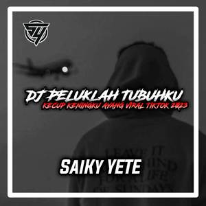 DJ PELUKLAH TUBUHKU KECUP KENINGKU