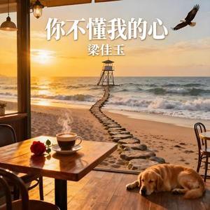 你不懂我的心