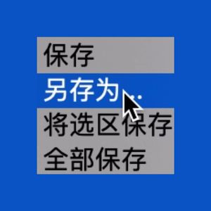 另存为