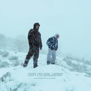 Non Mi Salverò