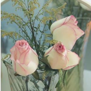 Rose Love(prod by Gr33nart)