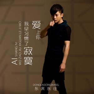 爱上你 我早习惯了寂寞