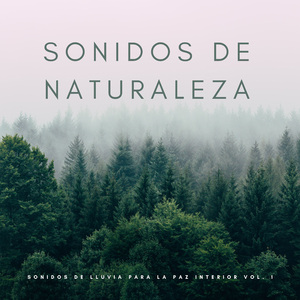 Música Relajante De Naturaleza