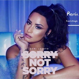 Sorry Not Sorry（KRIK remix）