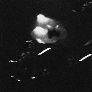 le Jardin (feat. Gro Flam)