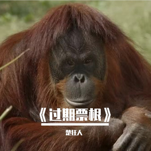 《过期票根》