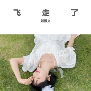 飞走了