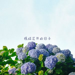 可以一起吃饭就很好