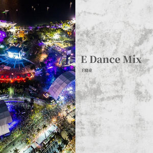 Martin Garrix-E DANCE MIX（王晓童 remix）