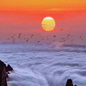 星辰之下的誓言