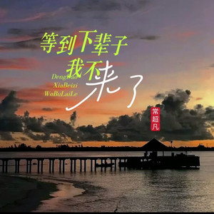 等到下辈子我不来了 (伴奏)