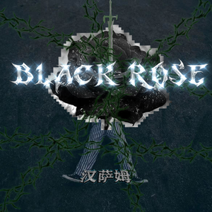Black Rose&Sword（pd.Soul&Suli）