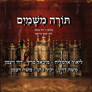 תורה משמיים