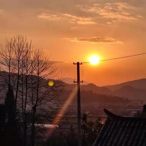 小懒猫