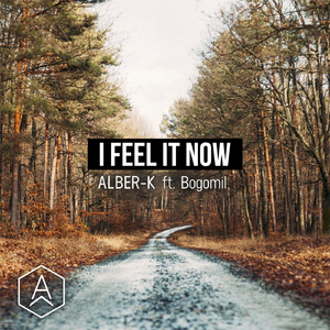 I Feel It Now (feat. Bogomil)