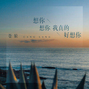 想你想你我真的好想你