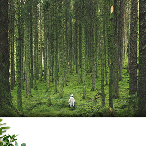 Les sons de la pluie éclaboussaient