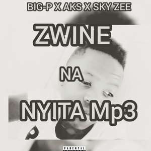 zwine nanyita (feat. Aks & Skyzee)