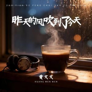 昨天的风吹到了今天 (DJ版伴奏)
