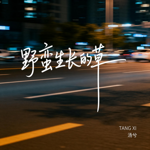 野蛮生长的草（抒情版）