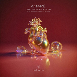 Amaré (Bodaishin & 9DEEP Remix)