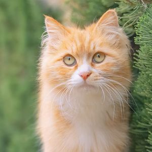 寂寞的季节_A1only