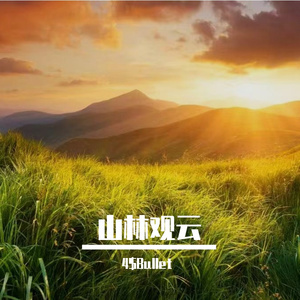 山林观云