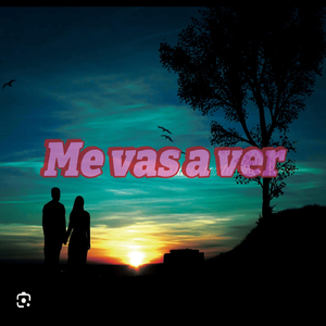 Me Vas a Ver