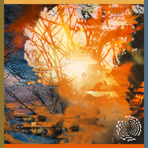 Won’t Follow You Home