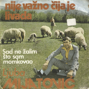 Sad ne zalim sto sam momkovao