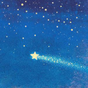 流星撞进我口袋