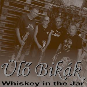 Whiskey in the Jar