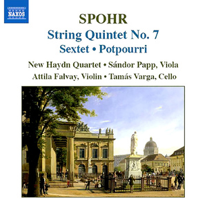 String Quintet No. 7 in G Minor, Op. 144:II. Larghetto
