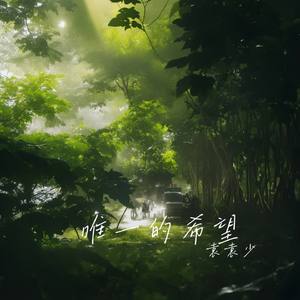 唯一的希望