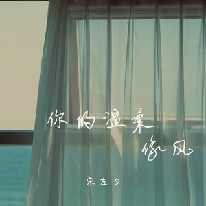 你的温柔像风