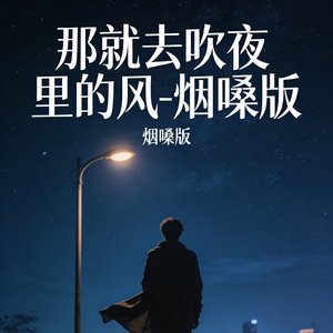 那就去吹夜里的风-烟嗓版.mp3