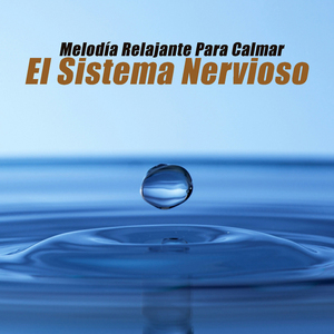 Aumenta El Optimismo