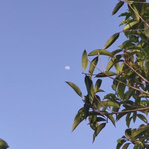 5月12日 下午7点18分