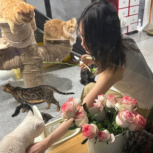 雨季（翻自曾沛慈）