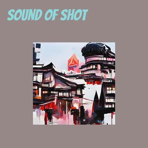 Sound of Shot