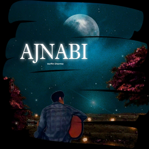 Ajnabi