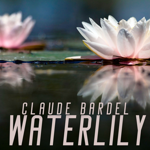 Gabbiano Da Scogliera