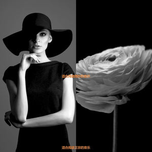 研读时尚的爵士