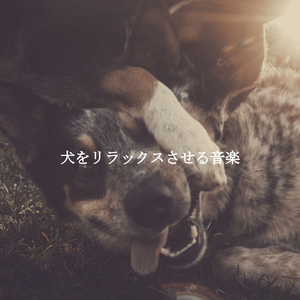 Tranquil (Co-Working Spaces)