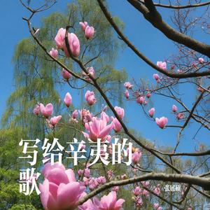 写给辛夷的歌