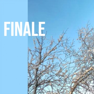 I Love You, You Love Me